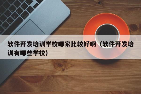 軟件開發(fā)培訓(xùn)學(xué)校哪家比較好?。ㄜ浖_發(fā)培訓(xùn)有哪些學(xué)校）